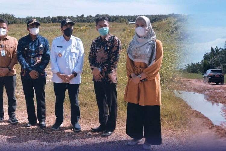 Gubri Syamsuar Kunker Cek Infrastruktur Jalan Provinsi dI Rohul