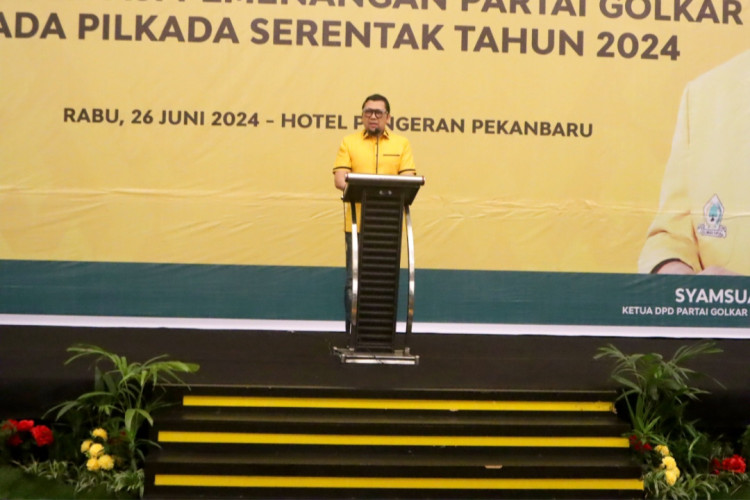 Konsolidasi Golkar Riau, DPP Minta Rebut Kemenangan Pilkada di 7 Wilayah di Riau 