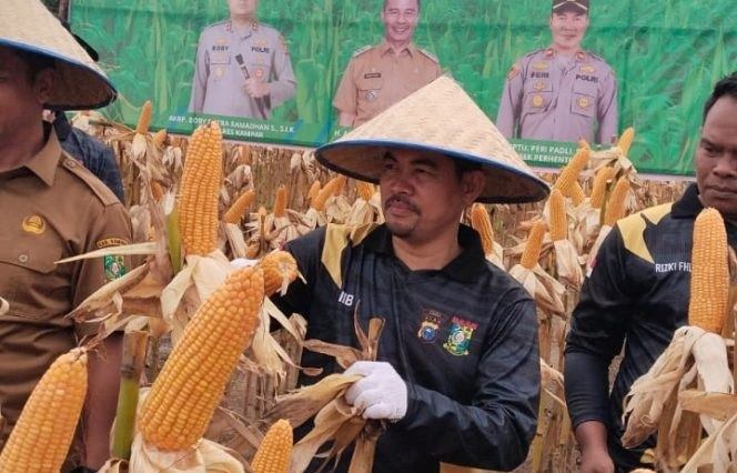 Wakil Ketua DPRD Kampar Iib Nursaleh: Ketahanan Pangan Kunci Stabilitas Daerah